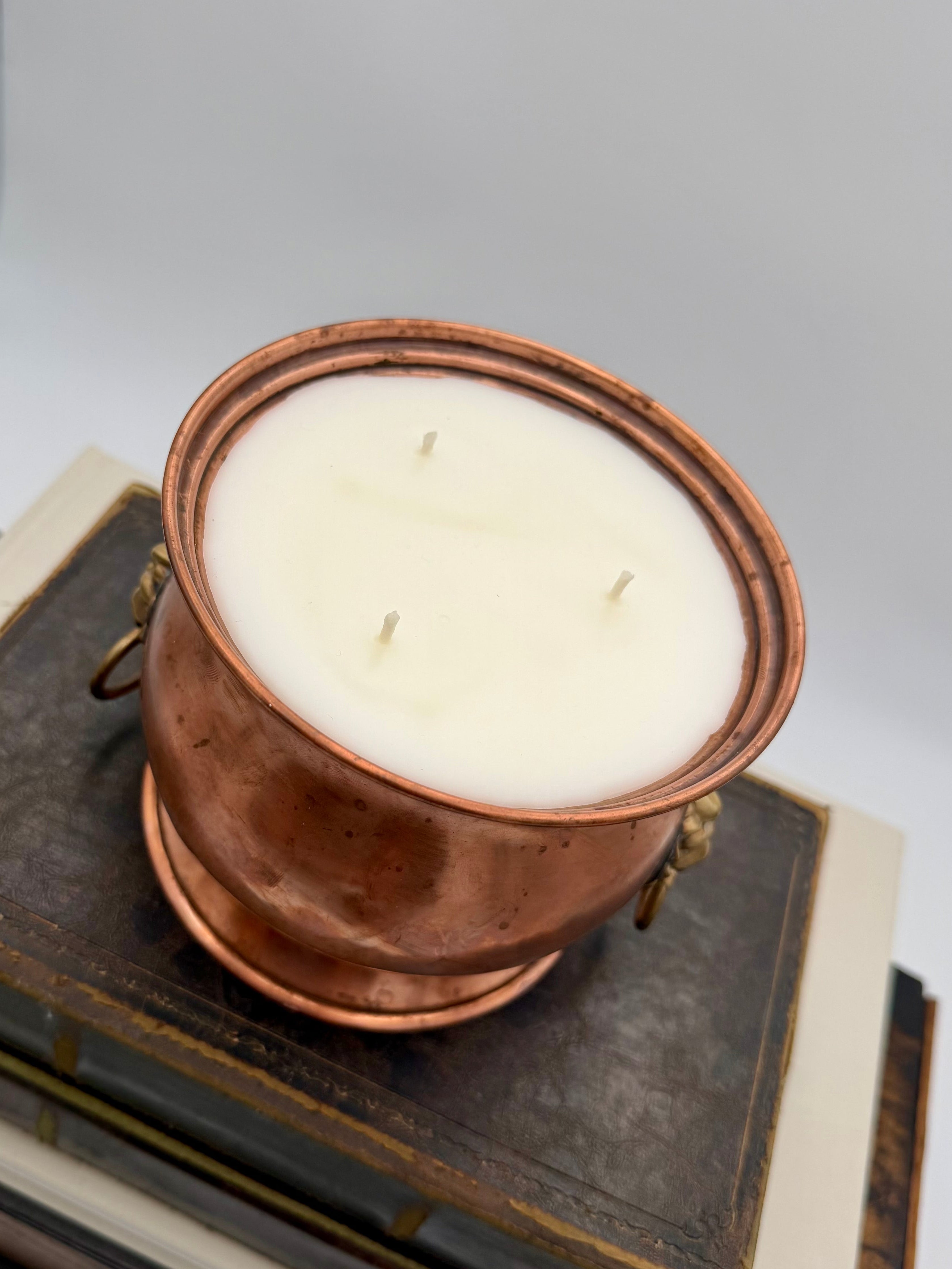 Antique Copper Jardinière with Brass Lion Handles