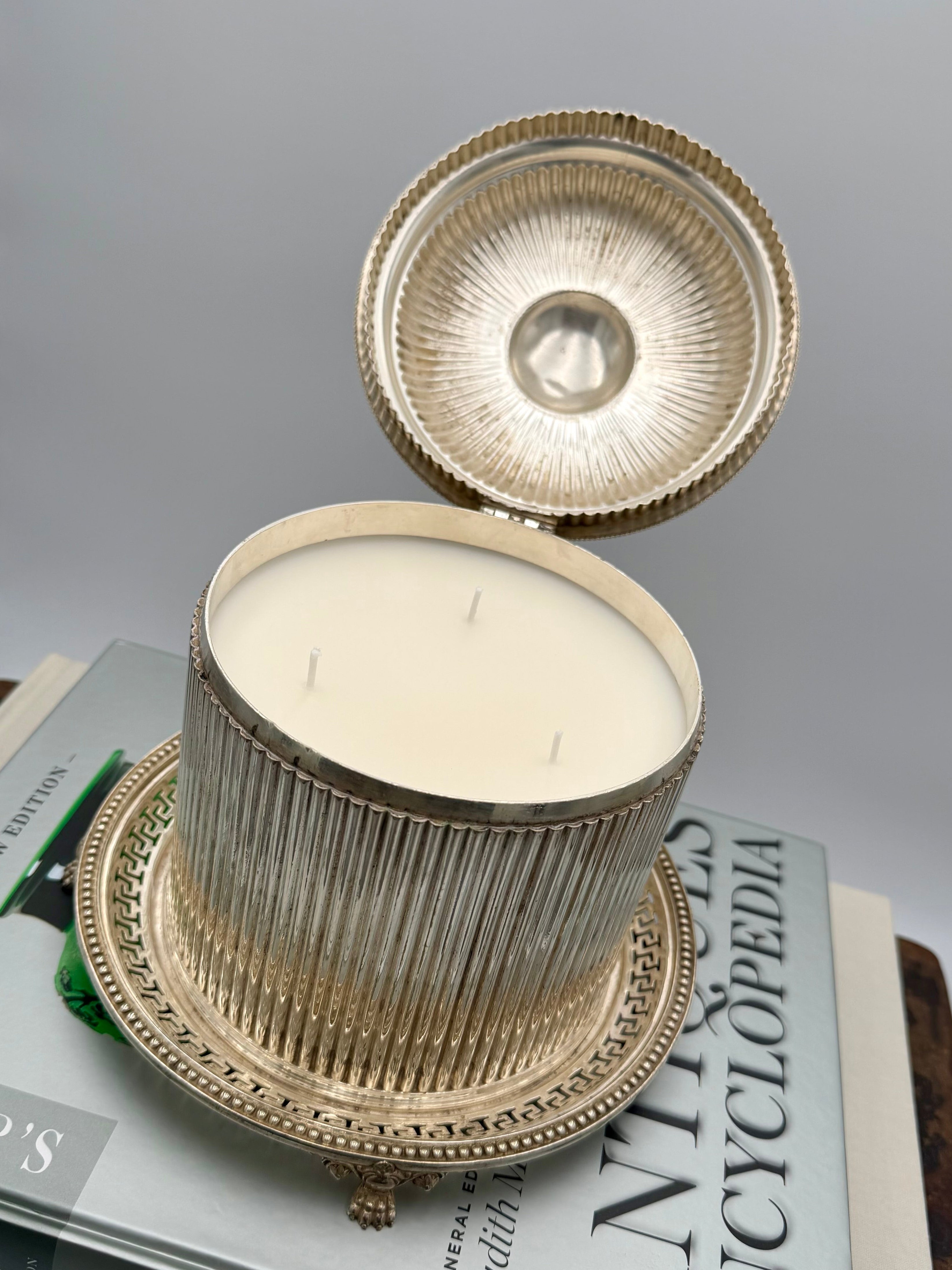 Antique Victorian Silver-Plated Biscuit Barrel of Reeded Cylindrical Form on a Pierced Circular Stand with Raised Paw Feet - Birmingham 1866 by Cartwright & Woodard